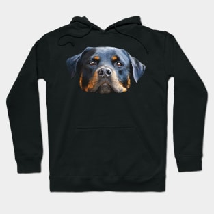 The Rottweiler the best dog for you Hoodie